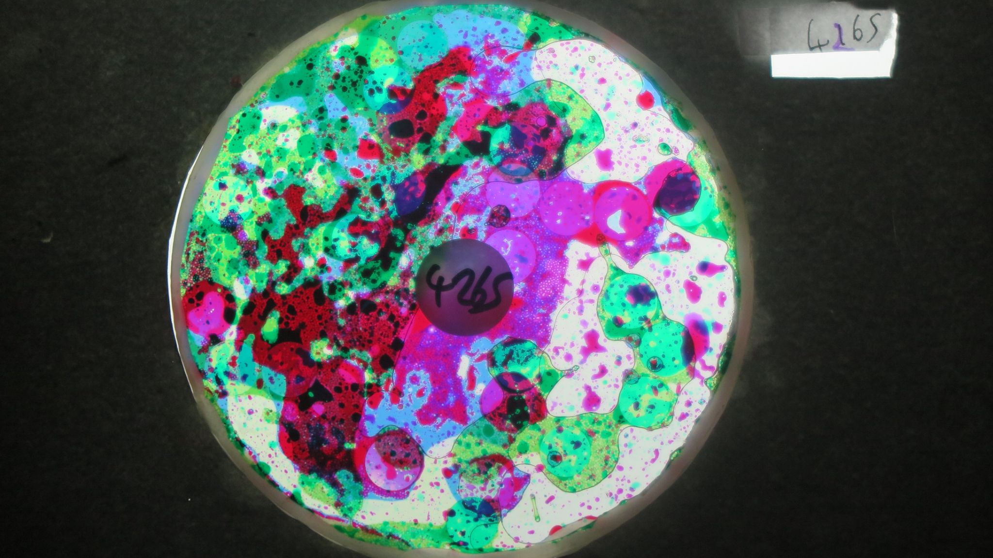 BV4265 bubble vision oil wheel